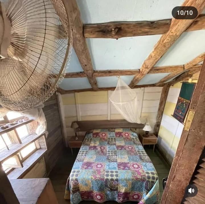 プンタ・デル・ディアブロ Rancho Lagarto Bed & Breakfast エクステリア 写真